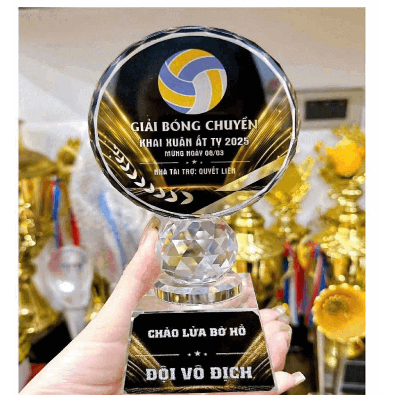 Cúp lưu niệm giải đấu bóng đá MC0055