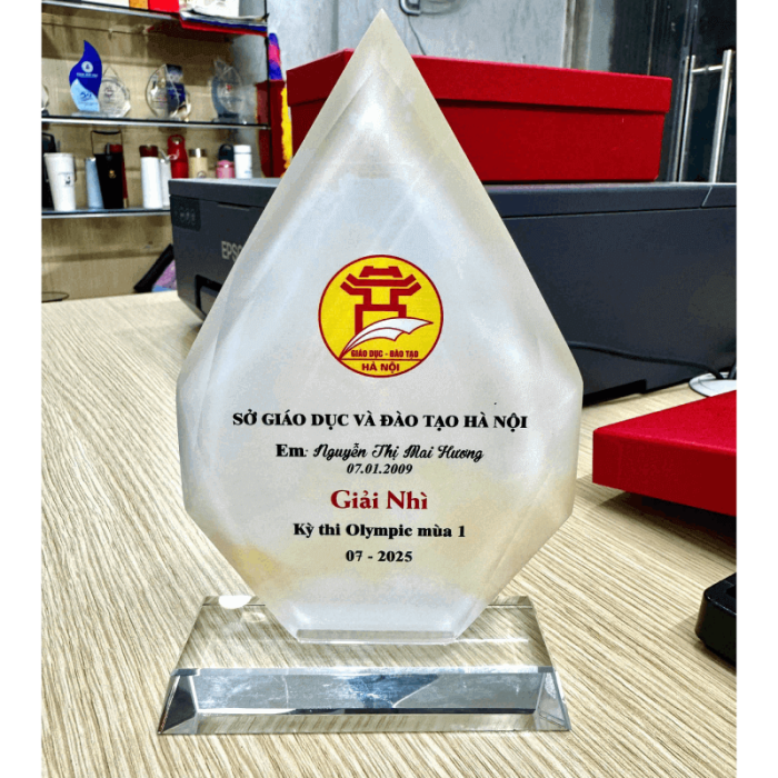 Cúp pha lê - MC0045